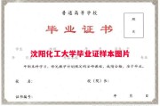 沈阳化工大学毕业证样本图片