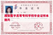 西安医学高等专科学校毕业证样本图片