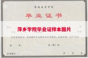 萍乡学院毕业证样本图片
