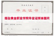烟台黄金职业学院毕业证样本图片