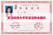 武汉科技大学毕业证样本图片