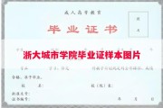 浙大城市学院毕业证样本图片