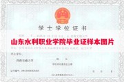 山东水利职业学院毕业证样本图片
