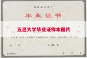 五邑大学毕业证样本图片