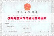 沈阳开放大学毕业证样本图片