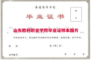 山东胜利职业学院毕业证样本图片