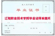 辽阳职业技术学院毕业证样本图片