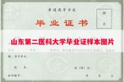 山东第二医科大学毕业证样本图片