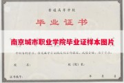南京城市职业学院毕业证样本图片