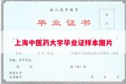 上海中医药大学毕业证样本图片