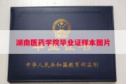 湖南医药学院毕业证样本图片