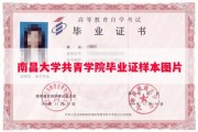 南昌大学共青学院毕业证样本图片