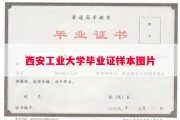 西安工业大学毕业证样本图片