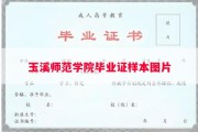 玉溪师范学院毕业证样本图片