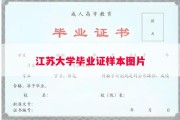 江苏大学毕业证样本图片