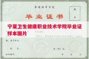 宁夏卫生健康职业技术学院毕业证样本图片