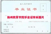 扬州教育学院毕业证样本图片