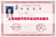 上海戏剧学院毕业证样本图片
