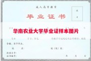 华南农业大学毕业证样本图片