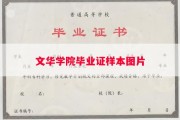 文华学院毕业证样本图片