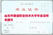 山东外国语职业技术大学毕业证样本图片
