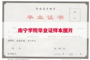 南宁学院毕业证样本图片
