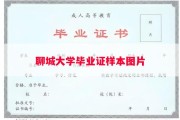 聊城大学毕业证样本图片