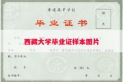 西藏大学毕业证样本图片