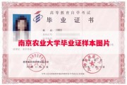 南京农业大学毕业证样本图片