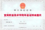 宜宾职业技术学院毕业证样本图片