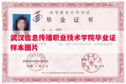 武汉信息传播职业技术学院毕业证样本图片