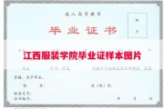 江西服装学院毕业证样本图片