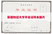 新疆财经大学毕业证样本图片