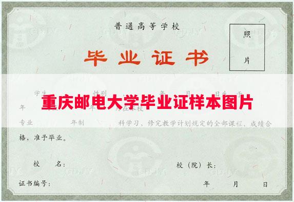 重庆邮电大学毕业证样本图片