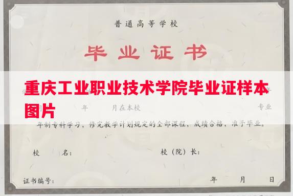 重庆工业职业技术学院毕业证样本图片