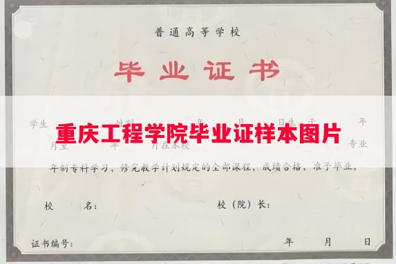 重庆工程学院毕业证样本图片