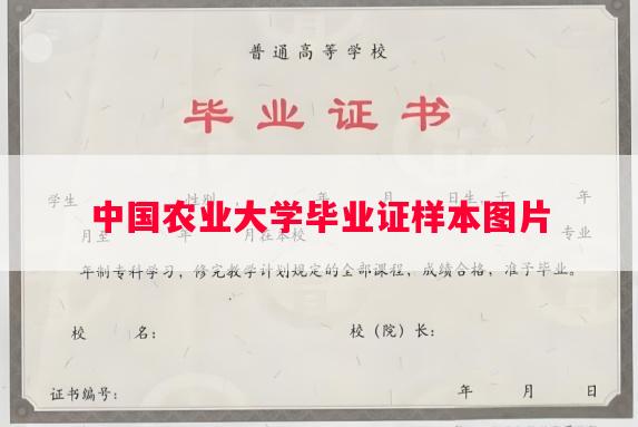 中国农业大学毕业证样本图片
