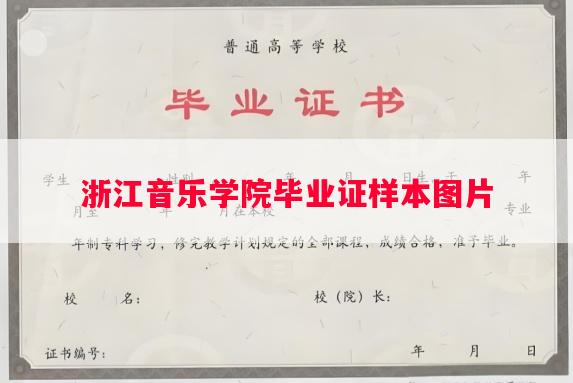 浙江音乐学院毕业证样本图片