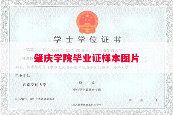 肇庆学院毕业证样本图片