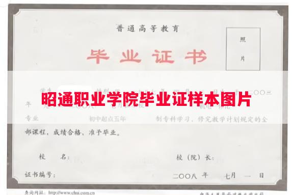 昭通职业学院毕业证样本图片