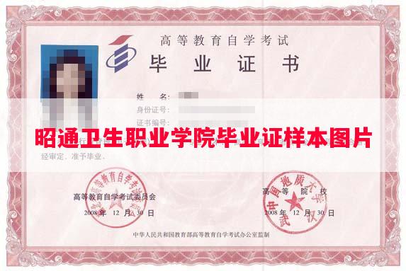 昭通卫生职业学院毕业证样本图片