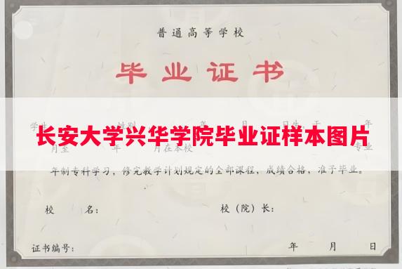 长安大学兴华学院毕业证样本图片