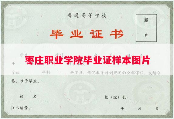 枣庄职业学院毕业证样本图片