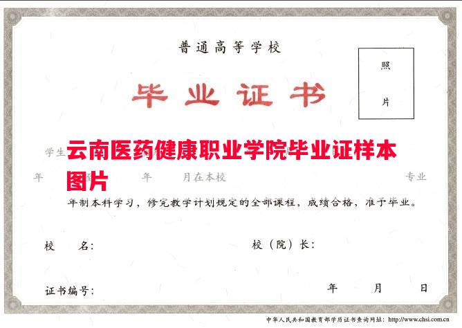云南医药健康职业学院毕业证样本图片