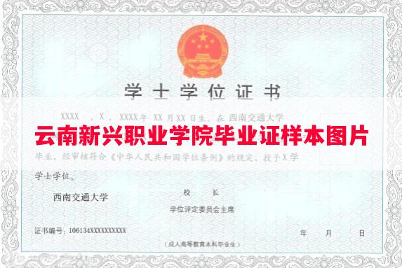 云南新兴职业学院毕业证样本图片