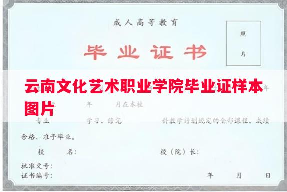 云南文化艺术职业学院毕业证样本图片