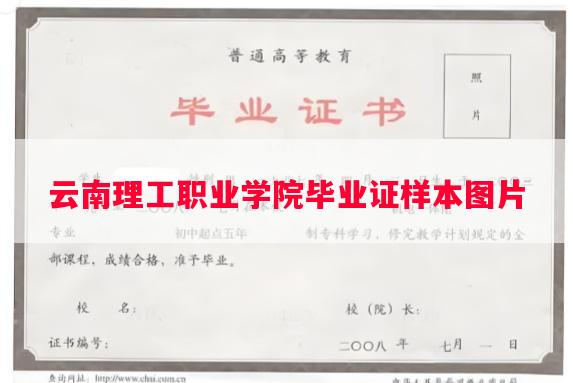 云南理工职业学院毕业证样本图片