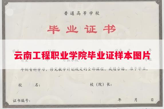 云南工程职业学院毕业证样本图片