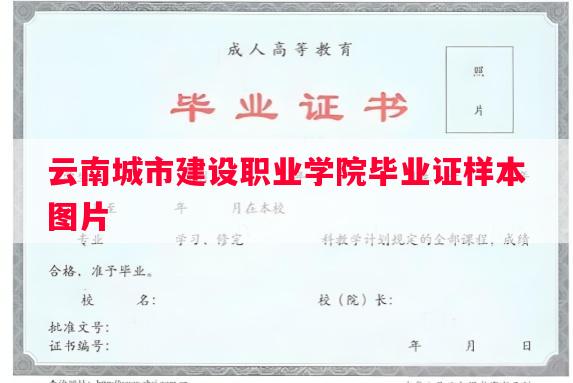 云南城市建设职业学院毕业证样本图片