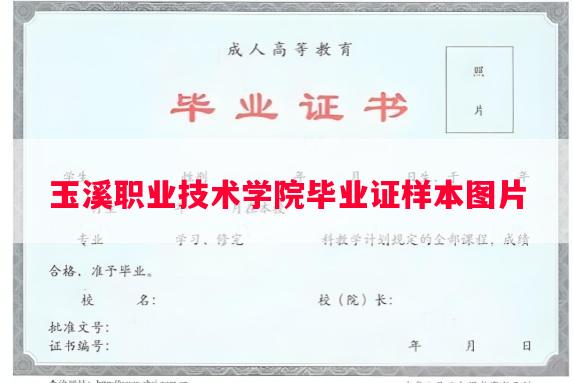 玉溪职业技术学院毕业证样本图片